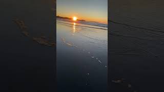 BOB was live From Higgins beachsunriseMaine USA very early 🏄 fishing beach maine [upl. by Flori]