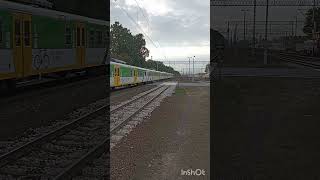 Krótka Składanka Ze Stacji Warszawa Rembertów 🗿🔥 train trainspotting railway pociag [upl. by Dorsman65]