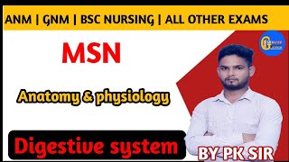 Digestive system  anatomy and physiology  ANM  GNM  BSC NURSING amp OTHER EXAMS [upl. by Tirrell]