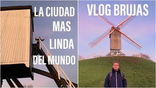 Comiendo comida tipica belga Vlog comida callejera en Brujas [upl. by Firooc]