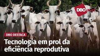 Mercado de inseminação artificial de bovinos no Brasil segue em crescimento [upl. by Tabby760]