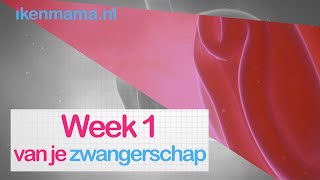 1 week zwanger Bekijk symptomen informatie over de echo en je kindje en je lichaam  ikenmamanl [upl. by Orteip]