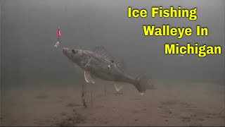 Underwater HD footage ice fishing walleye in Michigan 2021 [upl. by Qerat]