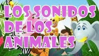 Sonidos De Animales  Escuchar Sonidos De Animales Sonidos de Animales Domesticos y Salvajes Online [upl. by Jacqueline460]