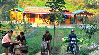 Harvesting Alocasia plants for pigs Install clean water lines Enjoy smoked meat together [upl. by Lindi960]