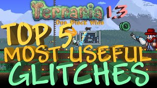 Terraria 13 TOP 5 MOST USEFUL GLITCHES [upl. by Karl]