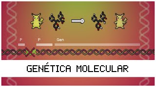 Introducción a GENÉTICA MOLECULAR 🧬🔬😱 [upl. by Scoter]