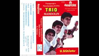 Trio Mandolin  Sadhinchane [upl. by Alys601]