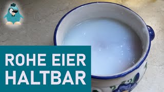 Eier haltbar machen  eigene Eier auch im Winter essen DIY Koch Selbermachen ohne Strom [upl. by Chrisy]