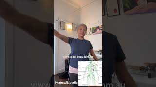 Axillary Lymph nodes exercise lymphnodes exercise [upl. by Kcirederf]