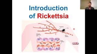 Introduction to Rickettsia  Classification of Rickettsia  Prokaryotes  Examples [upl. by Ylluz]