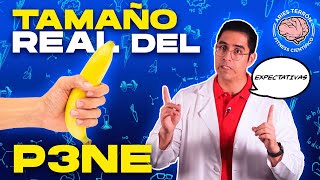 La VERDAD del tamaño del P3NE 🍌 ¿SE PUEDE AGRANDAR [upl. by Eanom]