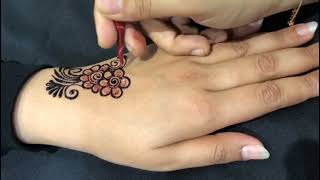 Vimals Sehnaaz Super Maroon Henna Cones Lovely Rich Red Mehndi Stain [upl. by Naginarb]