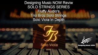 ORCHESTRAL REVIEW SERIES Fluffy Audios Trio Broz  Solo Viola In Depth [upl. by Nodnar]