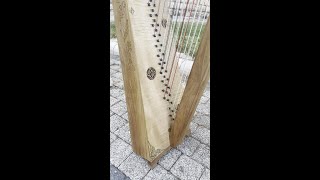 The world’s smallest triple harp [upl. by Gage]