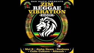 MIXTAPE ZIM REGGAE VIBRATION RIDDIM 2020 FULL MIX BY DJ IDOL FEAT AISHA DAWN MEL B  DASHOCA [upl. by Ha]