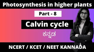 Photosynthesis in higher plants Part 8  Calvin cycle in kannada biologyinkannada 1stpuc pcmb [upl. by Nahtannoj]