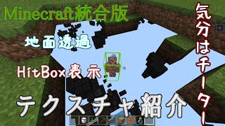 【マインクラフト統合版】気分はチーター！？地面透過 HitBox表示テクスチャ紹介！【XRay】【マインクラフトPE】【texture紹介】 [upl. by Roby]