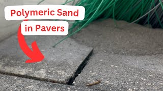 How to Install Polymeric Sand in Pavers  Refresh Your Pavers with a Clean and New Sand diy [upl. by Sofia]