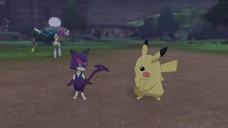 Pokemon Sword Pokemon Camp Pikachu and Purrloin [upl. by Shaylyn]