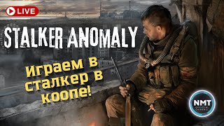 Stalker Anomaly КООП СТРИМ [upl. by Azial]