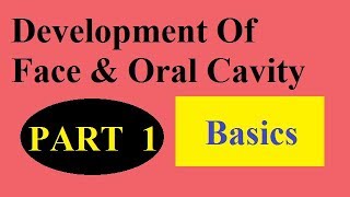 Development of face amp oral cavity Part 1  BASICS [upl. by Arraic]