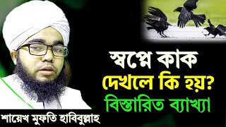 স্বপ্নে কাক দেখলে কি হয়  কাক ধরতে দেখলে ডাকতে দেখলে উড়তে বা মারতে দেখার ব্যাখ্যা sopne kak dekhle [upl. by Allisurd]