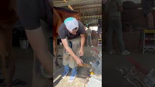 Pulling a horseshoe horse satisfying shorts [upl. by Fira]