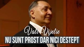 Vali Vijelie  Nu sunt prost dar nici destept Live Music 2024 [upl. by Dew]