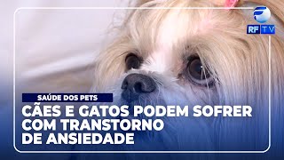 RF Pets  CÃ£es e gatos podem sofrer com transtorno de ansiedade [upl. by Ecirtac]