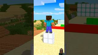 richmanCARGO SKATES RUN With herobrine amp sadako funnyshorts fypシ minecraftshortsvideoonyoutube [upl. by Hernandez542]