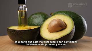 El aguacate su aceite y sus subproductos [upl. by Eilama]