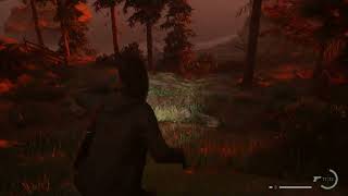 Ranger Station Cult Stash Key Location  Alan Wake 2 [upl. by Neelloj]