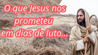 O que Jesus nos garante em dias de luto O que Deus falou comigo hoje 021124consolopazféoração [upl. by Nonnel]