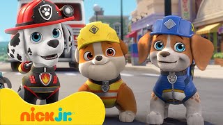 Крепыш и команда  Щенячий патруль знакомится с Командой  Nick Jr Cyrillic [upl. by Parks]