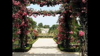 Great Rose Garden of Château de Bagatelle Paris France [upl. by Giaimo]