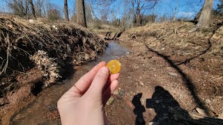 Arrowhead hunting along the Perkiomen Creek [upl. by Neetsirk]