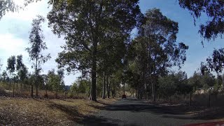 4K Car Ride Friday 20230804  To Gledswood Hills  Morning  Video 69 [upl. by Kurt]