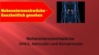 Nebennierenschwäche  DHEA  Adrenalin und Noradrenalin  GANZMEDIZIN Naturheilpraxis [upl. by Yllod]