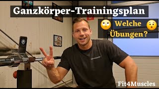 Ganzkörper Trainingsplan︱Welche Übungen [upl. by Squire]