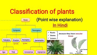 Classification of plants in Hindi  Cryptogam and Phanerogam plantclassification [upl. by Zalucki138]