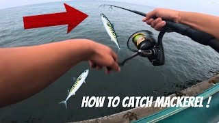 The Best Way To Catch Mackerel SHARK CAUGHT Redondo Beach Pier [upl. by Eikcim248]