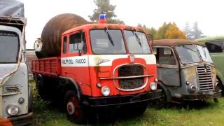 Vecchi camion in pensione  la ruggine avanza  qualcuno li salvi [upl. by Broeder339]