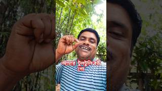 আমার টুলটুলি বউ গো বাংলাগান গন song tiktok trending sorts foryou newgaan banglagaan [upl. by Taam176]