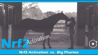 Nrf2 Activation or Pharmaceutical Drugs for Horses amp Dogs [upl. by Islaen]