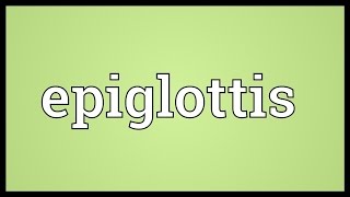 Epiglottis Meaning [upl. by Nims]