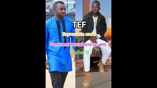 Comment convaincre un ami  C2 au TEF expression orale tâcheB [upl. by Kip667]