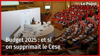 Budget 2025  et si on supprimait… le Cese [upl. by Nnylecoj365]