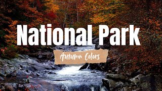 Top 5 Best National Parks with autumn colors [upl. by Lewap]