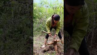 how to make cake from cassava food cooking shortvideo LyPhanThuanfood farm liziqicooking [upl. by Gabrielson]